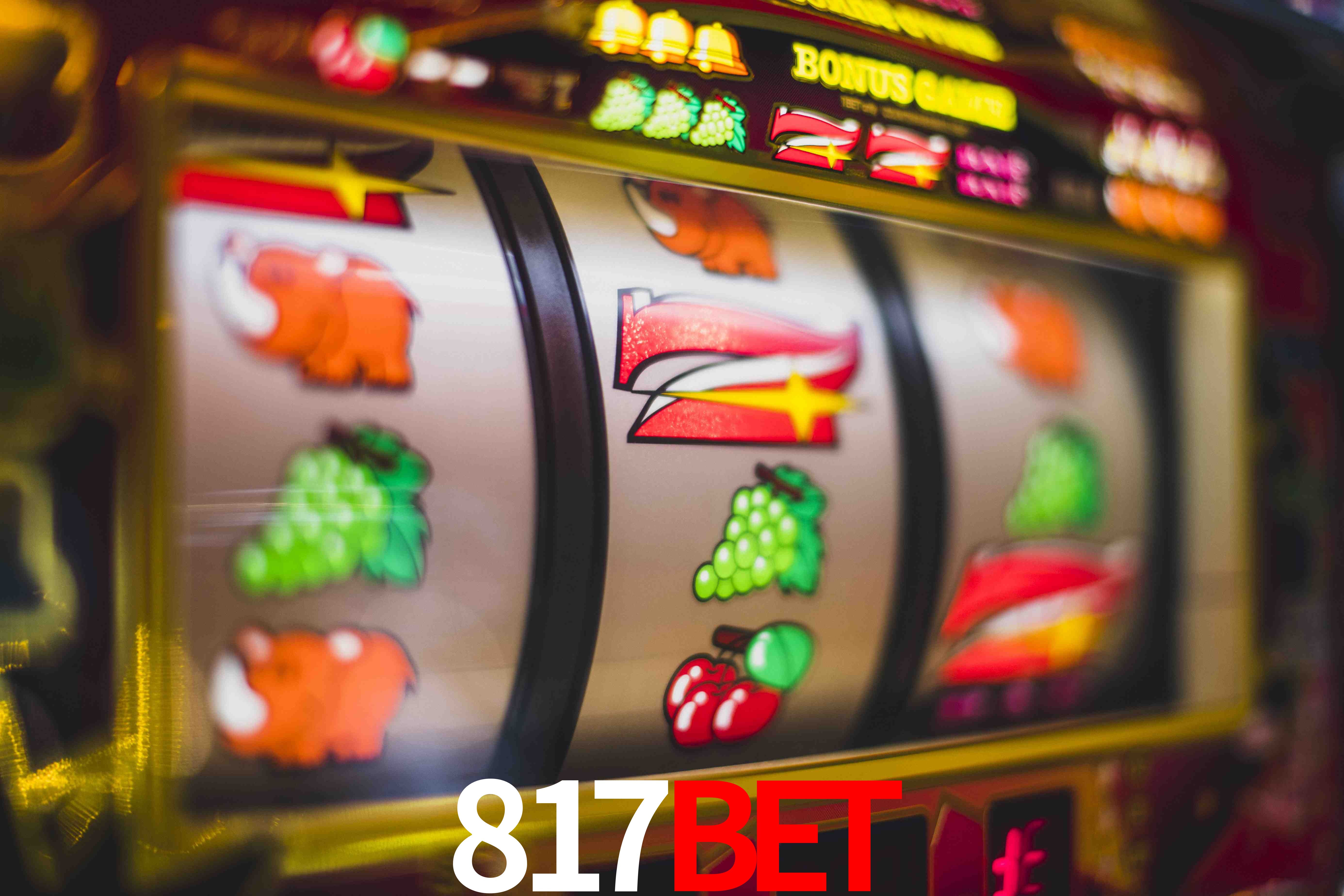 Crash Games Statistics 817bet